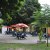 RESTAURANTE YUSTE - Aldeanueva de la Vera ( Valle de la vera )